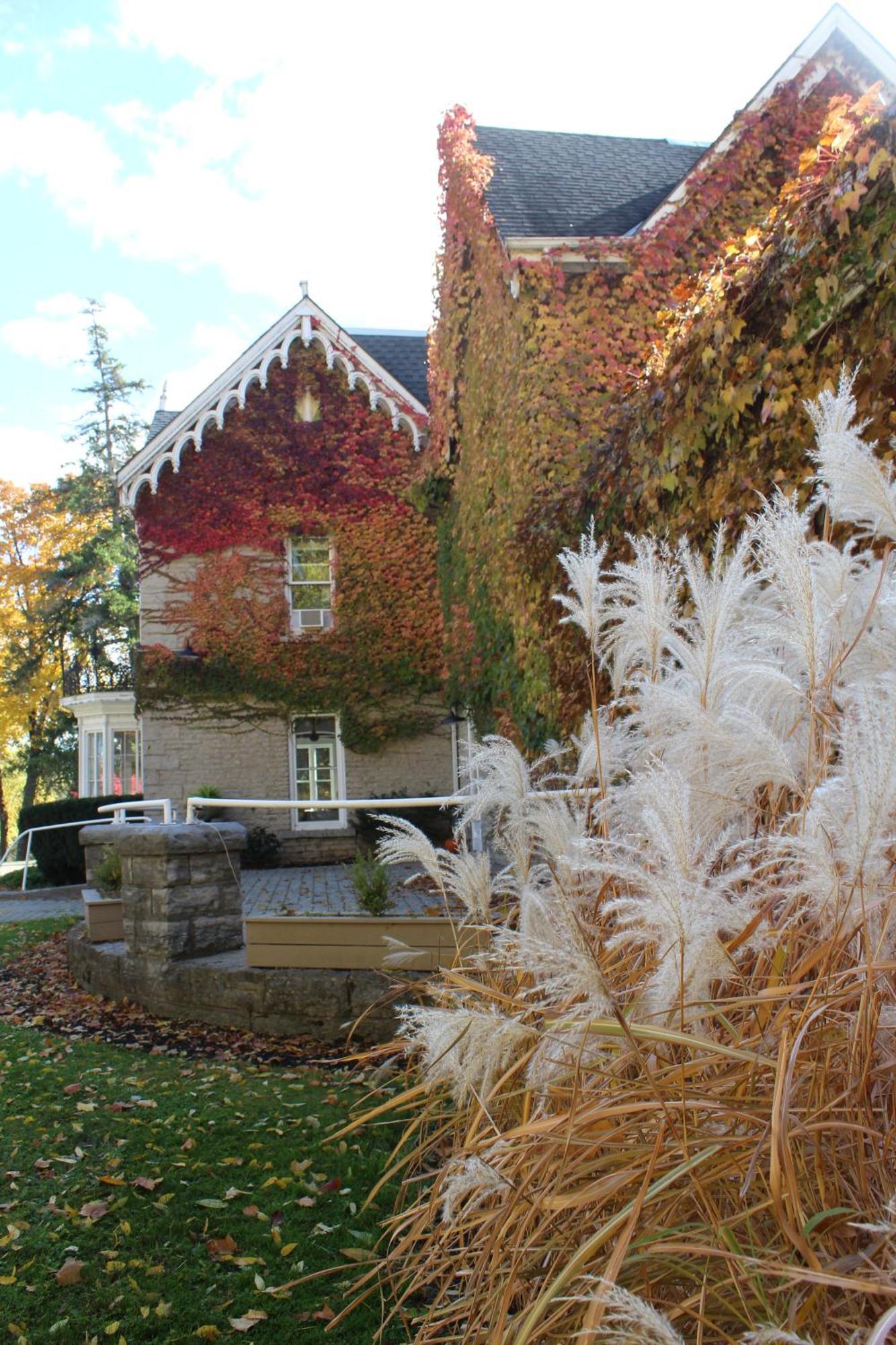 Westover Inn Saint Marys Экстерьер фото